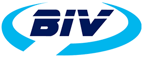 logo bivx e1672041805555