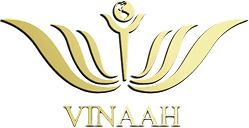Trang chủ LOGO-VINAAH-TRUNG-HA