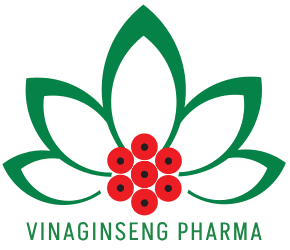 Trang chủ logo Vinagingsen